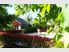 Lifestyle Just Minutes from Town