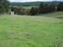 Wellsford/Topuni LIfestyle Block with Great Exposure