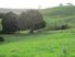 Topuni/Oruawharo Almost 15 ac pasture/bush