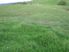 Topuni/Oruawharo Almost 15 ac pasture/bush