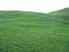 Topuni/Oruawharo Almost 15 ac pasture/bush