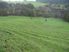 Topuni/Oruawharo Almost 15 ac pasture/bush
