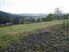 Wellsford/Whangaripo Valley Bare Block/Lifestyle