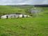 Wellsford/Topuni 10 acre pasture block