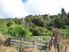 NATIVE BUSH PARADISE