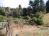 NATIVE BUSH PARADISE