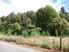 NATIVE BUSH PARADISE