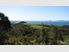Waipu Cove - In Natures Care