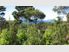 Waipu Cove - In Natures Care