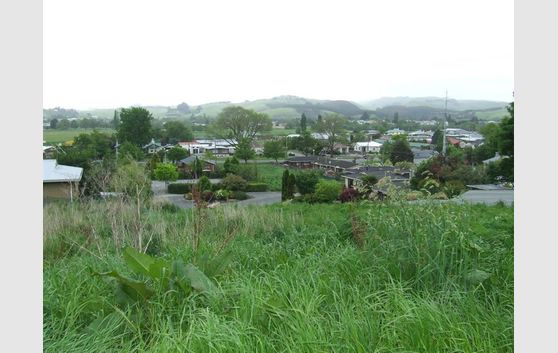 Views Over Town