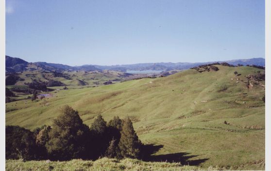 TOTARA NORTH 15.3781HA