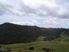 TOTARA NORTH