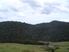 TOTARA NORTH