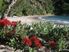 INCOMPARABLE SETTING - PREPARE TO BE ENCHANTED