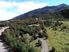 Bargin at Mt Lyford