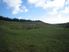 NEW SUBDIVIDED LAND