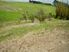 2 ACRE SECTION ON THE SKIRTS OF KAITAIA