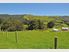 Kakariki Way