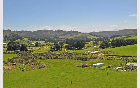 Kakariki Way