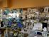 Chantillys and Crystal Centre for Sale