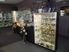 Chantillys and Crystal Centre for Sale