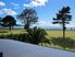 Sands Cres - Beachfront
