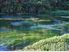 WAIHOU WONDERLAND