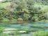 WAIHOU WONDERLAND