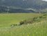 UNBELIEVABLE VALUE IN MATAKANA