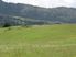 UNBELIEVABLE VALUE IN MATAKANA