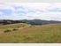UNBELIEVABLE VALUE IN MATAKANA