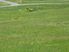 UNBELIEVABLE VALUE IN MATAKANA