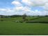 Otorohanga Dairy