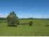 Otorohanga Dairy