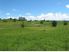 Otorohanga Dairy