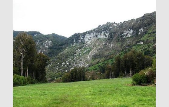 160.8 hectares - Grazing, Native Forest plus more