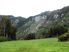 160.8 hectares - Grazing, Native Forest plus more