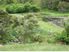 17 Bradshaw Road Paeroa Hauraki Coromandel