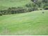 17 Bradshaw Road Paeroa Hauraki Coromandel