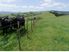 17 Bradshaw Road Paeroa Hauraki Coromandel