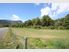 Matiri Valley Lifestyle Block