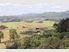 THE GOLDEN 95 ACRE LIFESTYLE & EXECUTIVE HOME!