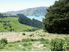 Lifestyle Block of 50 Hectares Which Can Be Subdivided