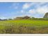 Absolute Quality on 11.5 Acres