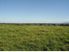COUNTRY LIVING