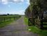 Growing, Grazing or Gee Gees in Glenbrook