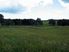 Growing, Grazing or Gee Gees in Glenbrook