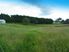 Growing, Grazing or Gee Gees in Glenbrook