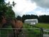 Growing, Grazing or Gee Gees in Glenbrook