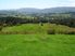 Okaihau Country-Vendor Must Quit